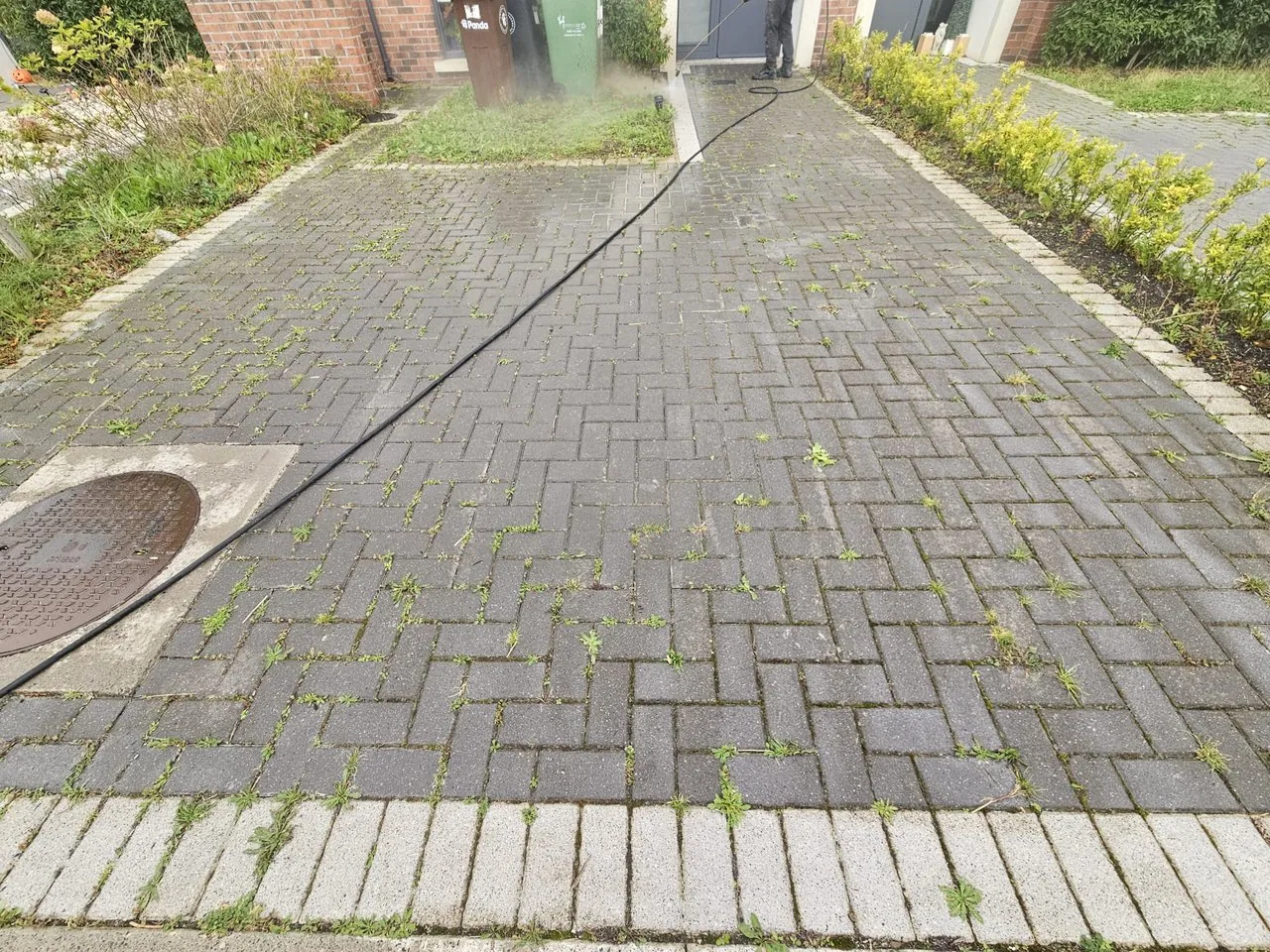 Block paving driveway before cleaning, weeds and moss growing through the joints